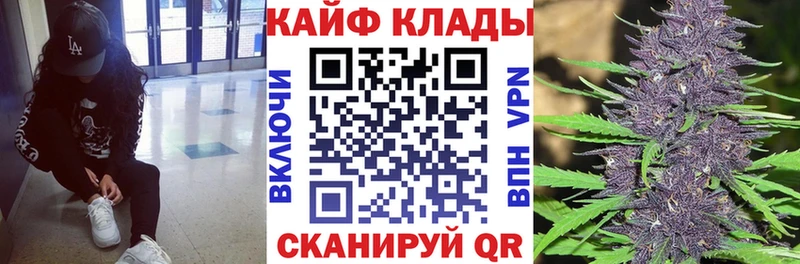 Где купить наркоту Алексин Галлюциногенные грибы Cocaine Меф Метадон Марихуана