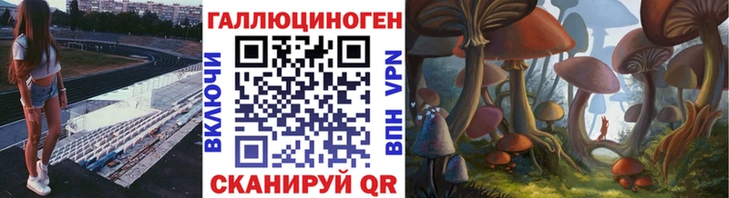 Галлюциногенные грибы Psilocybe Алексин